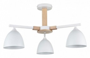 Люстра на штанге Lumion Colange 8095/3C в Озерске - ozersk.ok-mebel.com | фото