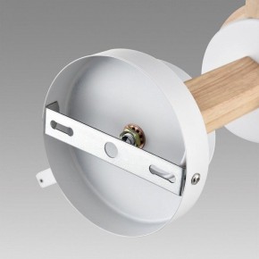 Люстра на штанге Lumion Colange 8095/3C в Озерске - ozersk.ok-mebel.com | фото 6