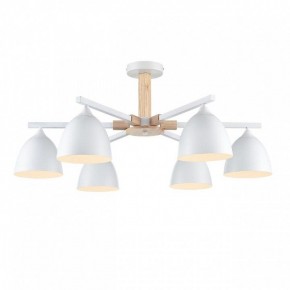 Люстра на штанге Lumion Colange 8095/6C в Озерске - ozersk.ok-mebel.com | фото 2