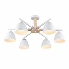 Люстра на штанге Lumion Colange 8095/6C в Озерске - ozersk.ok-mebel.com | фото 3