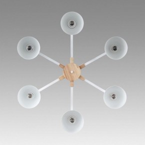 Люстра на штанге Lumion Colange 8095/6C в Озерске - ozersk.ok-mebel.com | фото 4
