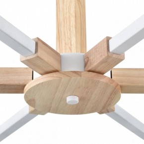 Люстра на штанге Lumion Colange 8095/6C в Озерске - ozersk.ok-mebel.com | фото 7