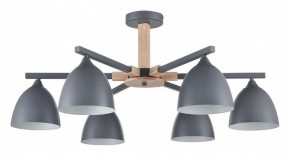 Люстра на штанге Lumion Colange 8096/6C в Озерске - ozersk.ok-mebel.com | фото