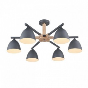 Люстра на штанге Lumion Colange 8096/6C в Озерске - ozersk.ok-mebel.com | фото 3