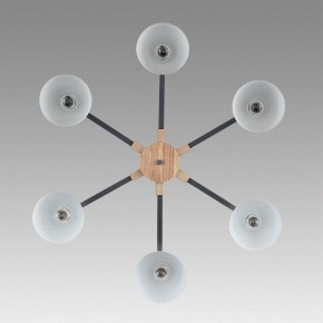 Люстра на штанге Lumion Colange 8096/6C в Озерске - ozersk.ok-mebel.com | фото 4