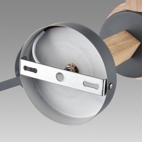 Люстра на штанге Lumion Colange 8096/6C в Озерске - ozersk.ok-mebel.com | фото 6