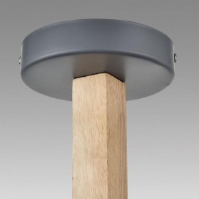 Люстра на штанге Lumion Colange 8096/6C в Озерске - ozersk.ok-mebel.com | фото 9