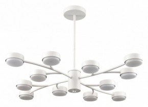 Люстра на штанге Lumion TORINA 8265/12 в Озерске - ozersk.ok-mebel.com | фото