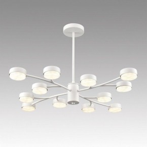 Люстра на штанге Lumion TORINA 8265/12 в Озерске - ozersk.ok-mebel.com | фото 3