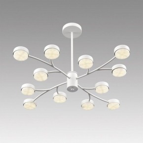 Люстра на штанге Lumion TORINA 8265/12 в Озерске - ozersk.ok-mebel.com | фото 5
