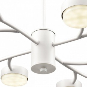 Люстра на штанге Lumion TORINA 8265/12 в Озерске - ozersk.ok-mebel.com | фото 8