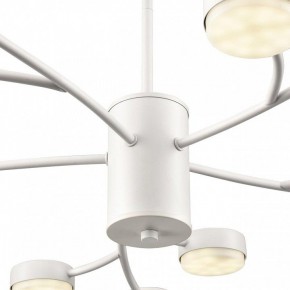 Люстра на штанге Lumion TORINA 8265/15 в Озерске - ozersk.ok-mebel.com | фото 8