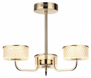 Люстра на штанге Lumion Venice 6579/40CL в Озерске - ozersk.ok-mebel.com | фото 5