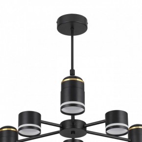 Люстра на штанге Lumion Virsava 8234/6C в Озерске - ozersk.ok-mebel.com | фото 5