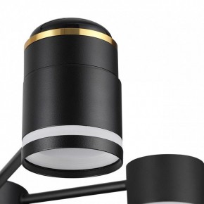 Люстра на штанге Lumion Virsava 8234/6C в Озерске - ozersk.ok-mebel.com | фото 8