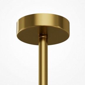 Люстра на штанге Maytoni Museo MOD436PL-07BS в Озерске - ozersk.ok-mebel.com | фото 5