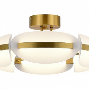 Люстра на штанге ST-Luce ETOILE SL1304.302.45 в Озерске - ozersk.ok-mebel.com | фото 4