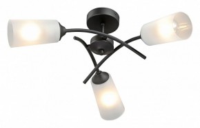 Люстра на штанге Vitaluce V2850 V2850-1/3PL в Озерске - ozersk.ok-mebel.com | фото 2