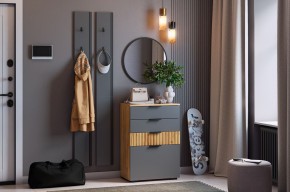 МЕБЕЛЬСОН К21 Прихожая  (графит) в Озерске - ozersk.ok-mebel.com | фото