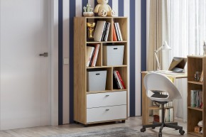 МИЛАН Детская (Дуб Золотой/Белый матовый) в Озерске - ozersk.ok-mebel.com | фото 53