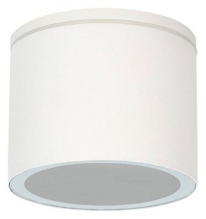 Накладной светильник Arte Lamp Piautos A1913PF-1WH в Озерске - ozersk.ok-mebel.com | фото
