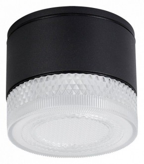 Накладной светильник Arte Lamp Piautos A1926PF-1BK в Озерске - ozersk.ok-mebel.com | фото