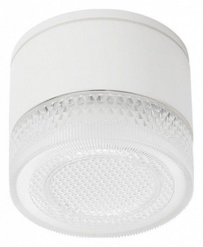 Накладной светильник Arte Lamp Piautos A1926PF-1WH в Озерске - ozersk.ok-mebel.com | фото