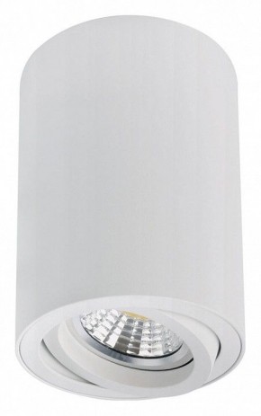 Накладной светильник Arte Lamp Sentry A1566PL-1WH в Озерске - ozersk.ok-mebel.com | фото
