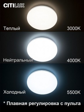 Накладной светильник Citilux Симпла CL714330G в Озерске - ozersk.ok-mebel.com | фото 4