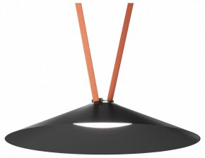Накладной светильник Denkirs Belty Flow DK5568-BK в Озерске - ozersk.ok-mebel.com | фото 2