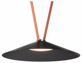 Накладной светильник Denkirs Belty Flow DK5569-BK в Озерске - ozersk.ok-mebel.com | фото 2