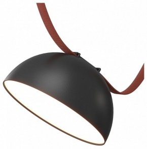 Накладной светильник Denkirs Belty Flow DK5660-BK в Озерске - ozersk.ok-mebel.com | фото