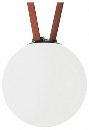 Накладной светильник Denkirs Belty Orb DK5554-BK в Озерске - ozersk.ok-mebel.com | фото