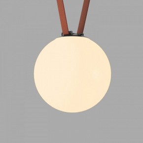 Накладной светильник Denkirs Belty Orb DK5555-BK в Озерске - ozersk.ok-mebel.com | фото 2