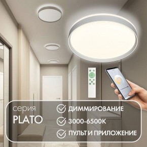 Накладной светильник Denkirs PLATO DK6511-WH/1 в Озерске - ozersk.ok-mebel.com | фото 4