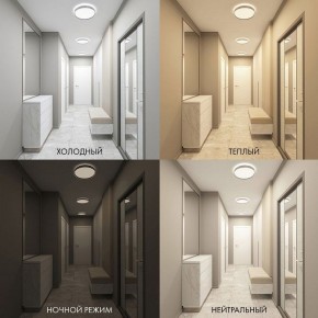 Накладной светильник Denkirs PLATO DK6511-WH/1 в Озерске - ozersk.ok-mebel.com | фото 5