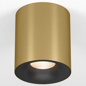 Накладной светильник Elektrostandard Primo 25116/LED в Озерске - ozersk.ok-mebel.com | фото