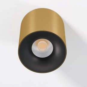 Накладной светильник Elektrostandard Primo 25116/LED в Озерске - ozersk.ok-mebel.com | фото