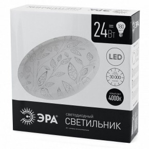 Накладной светильник Эра Классик SPB-6-24-4K (C) в Озерске - ozersk.ok-mebel.com | фото 4