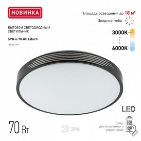 Накладной светильник Эра Классик SPB-6-70-RC Liburn в Озерске - ozersk.ok-mebel.com | фото 10