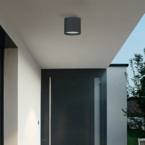 Накладной светильник Favourite Fantum 4663-1U в Озерске - ozersk.ok-mebel.com | фото 3
