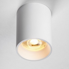 Накладной светильник Lightstar Rullo 213436 в Озерске - ozersk.ok-mebel.com | фото 2