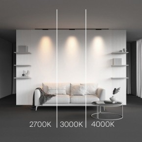 Накладной светильник Maytoni Points TR193-1-10W2.7K-M-B в Озерске - ozersk.ok-mebel.com | фото 2