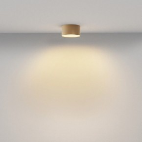 Накладной светильник Maytoni Zon C032CL-12W2.7K-RD-MG в Озерске - ozersk.ok-mebel.com | фото 4