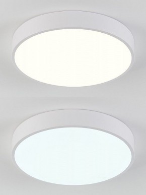 Накладной светильник Natali Kovaltseva  LED LAMPS 81111/5C в Озерске - ozersk.ok-mebel.com | фото 4