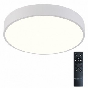 Накладной светильник Natali Kovaltseva  LED LAMPS 81112/5C в Озерске - ozersk.ok-mebel.com | фото 2