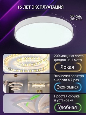 Накладной светильник Natali Kovaltseva  LED LAMPS 81112/5C в Озерске - ozersk.ok-mebel.com | фото 4