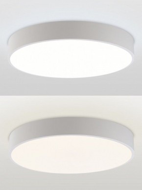 Накладной светильник Natali Kovaltseva MODERN LED LAMPS 81105/1C в Озерске - ozersk.ok-mebel.com | фото 5