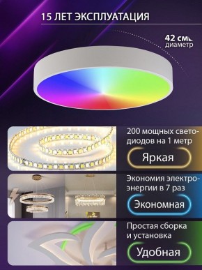 Накладной светильник Natali Kovaltseva MODERN LED LAMPS 81105/1C в Озерске - ozersk.ok-mebel.com | фото 6