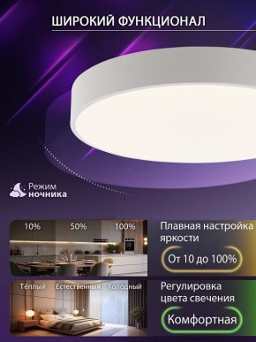 Накладной светильник Natali Kovaltseva MODERN LED LAMPS 81105/1C в Озерске - ozersk.ok-mebel.com | фото 7
